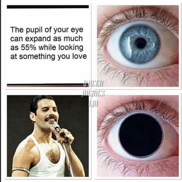 Meet your Posher, Casey - Picture 5 of 12